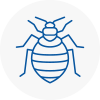 Bed Bug Extermination In Lymm